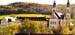 Ausblick